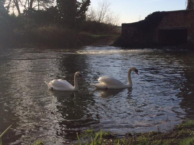 Sculthorpe Mill Hotel Fakenham Zewnętrze zdjęcie
