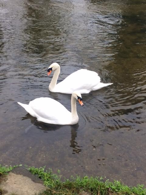 Sculthorpe Mill Hotel Fakenham Zewnętrze zdjęcie
